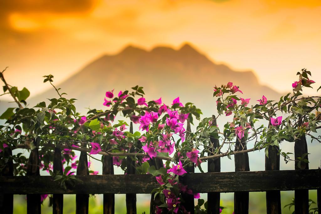 Casa Madre Tierra Hotel Vilcabamba Luaran gambar